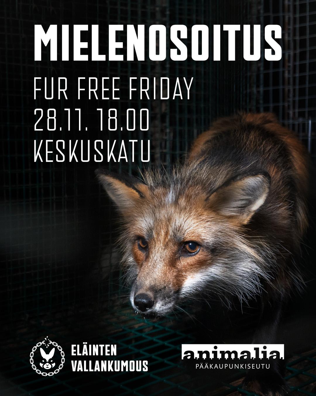 Fur Free Fridayn mielenosoitus turkistarhausta vastaan