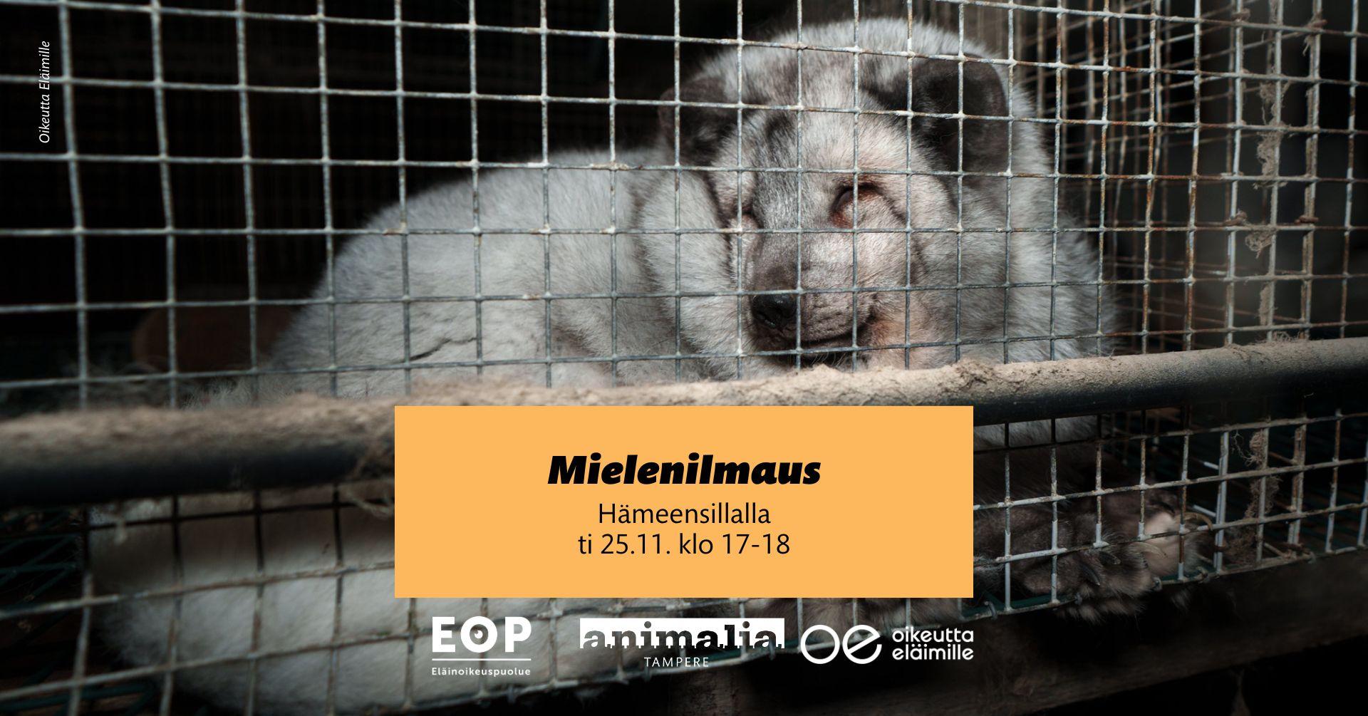 Turkistarhausvastainen mielenilmaus