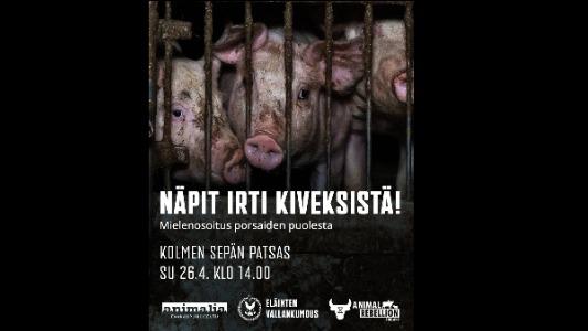 NÄPIT IRTI KIVEKSISTÄ! Mielenosoitus porsaiden puolesta - Kuva 1