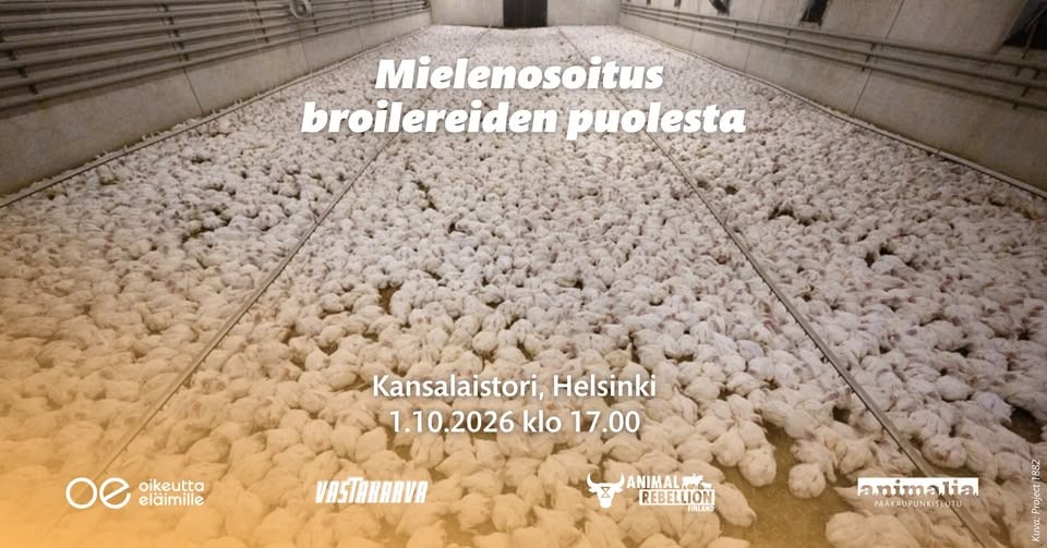 Mielenosoitus broilereiden puolesta - Kuva 1